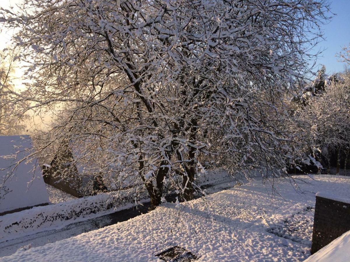 Terrasses de Malmedy F&L Lägenhet Exteriör bild