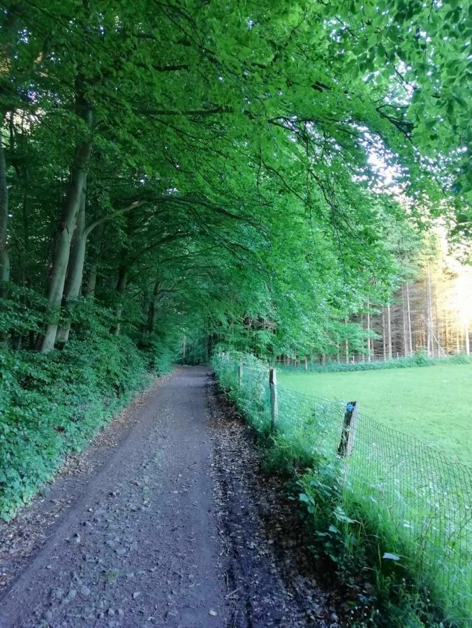 Terrasses de Malmedy F&L Lägenhet Exteriör bild